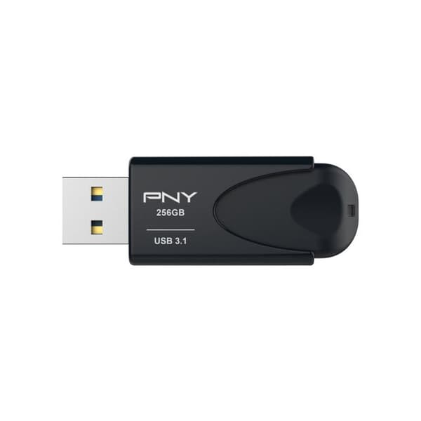 ATTACH 4 3.1 256GB FD256ATT431KK-EF