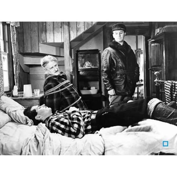 DVD 49:e parallellen