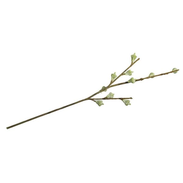 Eucalyptusfruktgren 40 cm