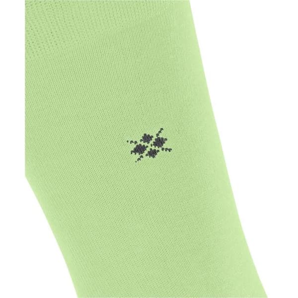 Burlington Dublin Strumpor