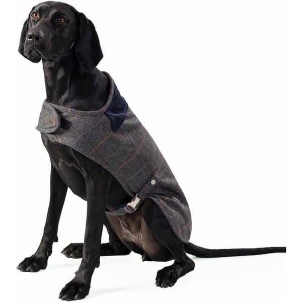 Hundjacka HUGO & HUDSON x Hackett - Grå rutigt tweed, sammetkrage, fleecefoder