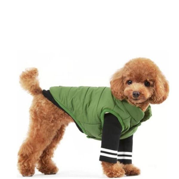 Pull - gilet Meioro - 1