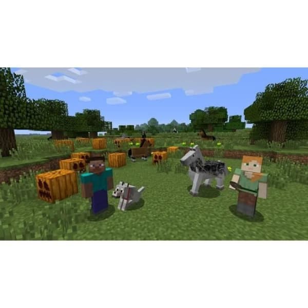 Minecraft Wii U Edition Wii U-spel