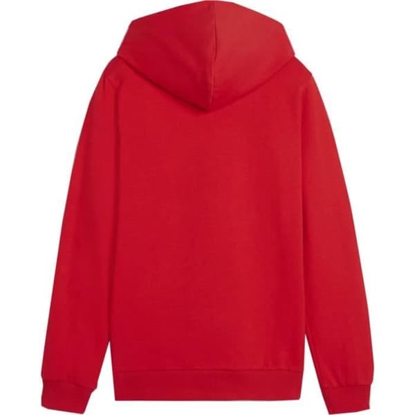 Puma B23600 hoodie