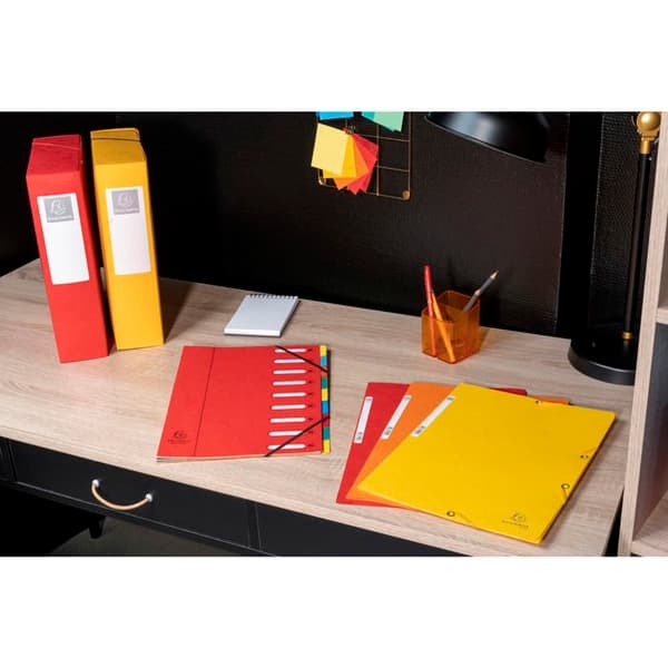 3-flikars elastisk mapp - EXACOMPTA - 55513E - A4 - Glanspapper 400 g/m² FSC - Förpackning 25 (Lind)