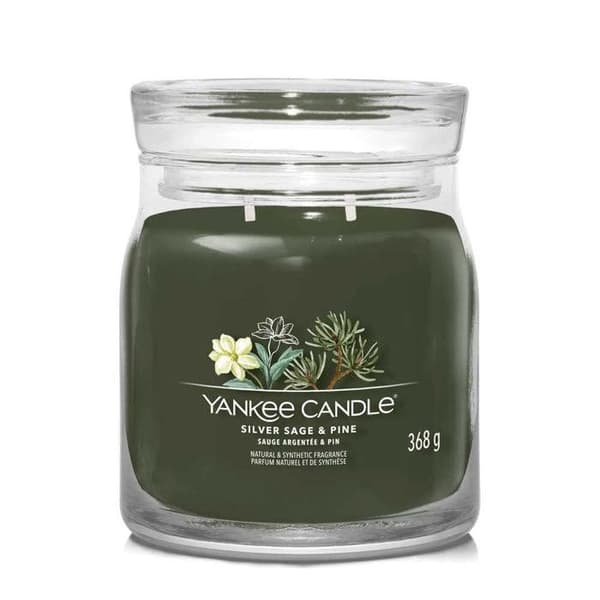CANDELA GIARA MEDIA SILVER SAGE & PINE