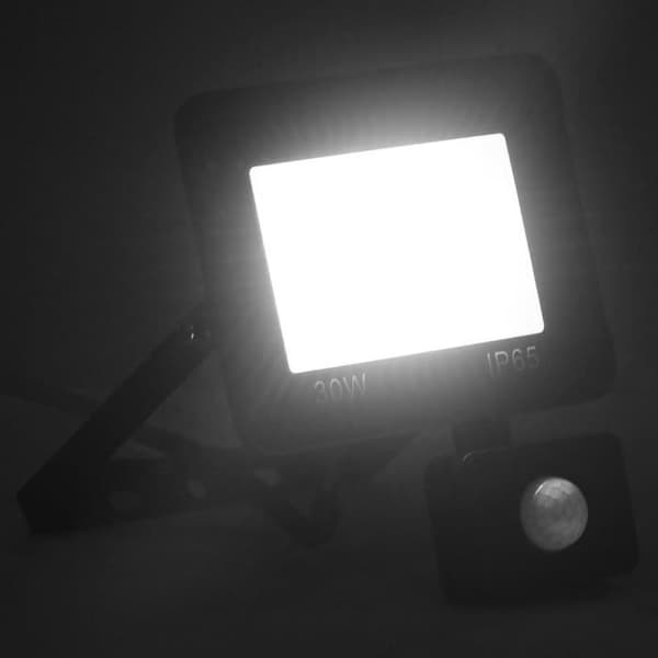 vidaXL LED-projektor med sensor 30 W Kallvit
