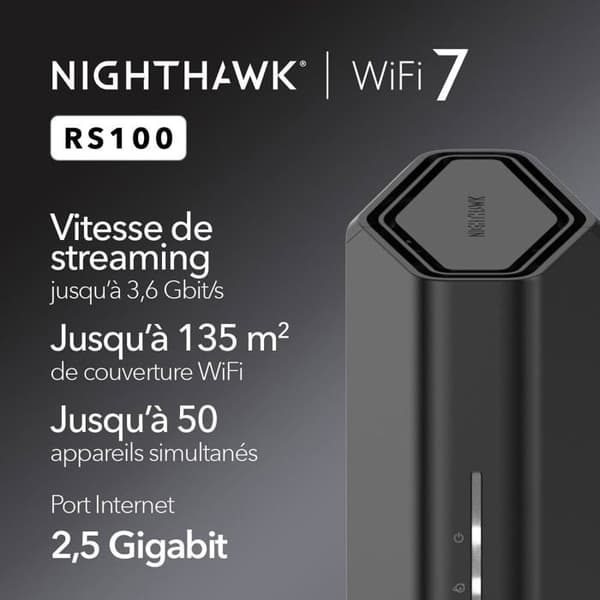 Netgear RS100-100EUS Router