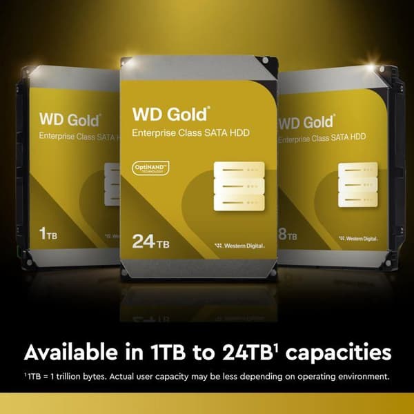 WD Gold WD203KRYZ - hårddisk du