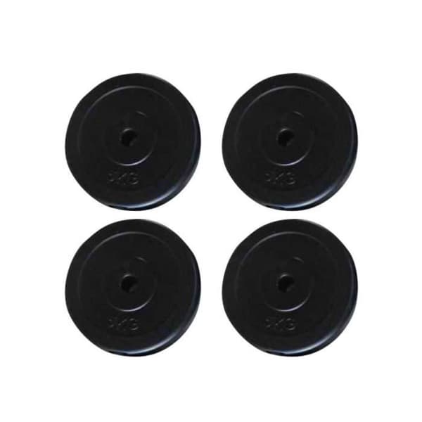 vidaXL Viktskiva 4 st 20 kg