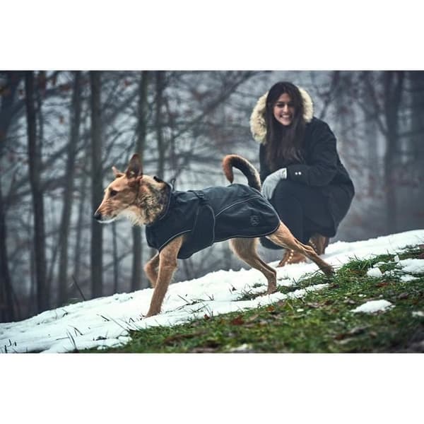 Hunter Uppsala Softshell - Hundjacka 40 cm, svart