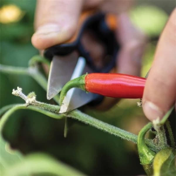Kryddklippare - FISKARS - Solid™ SP220 - Precisionsklippning - Rostfria blad - Ergonomisk