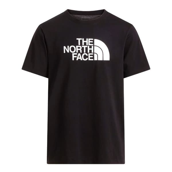 The North Face T-shirt Evolution Half Dome Svart - NF0A8B6JKY4