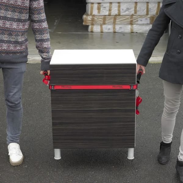MASTER LOCK Set med 2 spännband för flytt - Motstånd 80kg