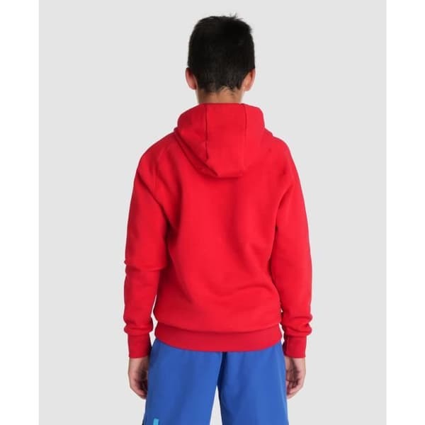 Barn hoodie Arena Team Panel