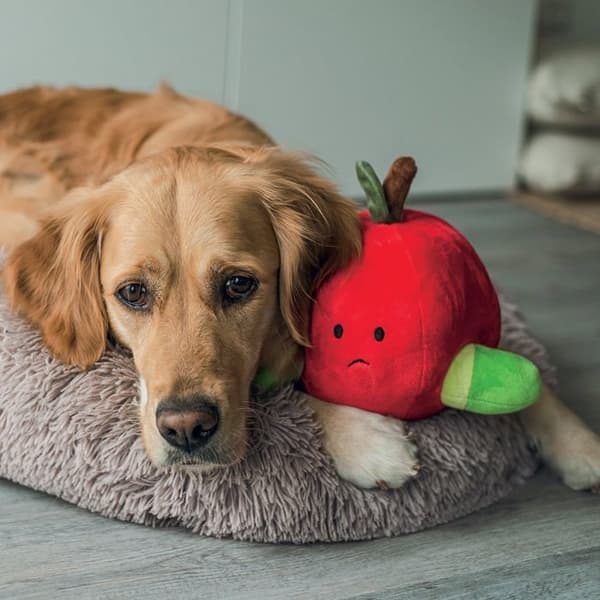 Äpple gosedjur