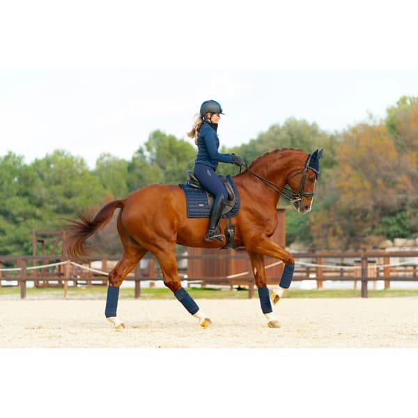 Ryttarjacka full zip dam Equestrian Stockholm Active Performance