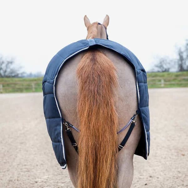 Stalltäcke för häst B Vertigo Corey 250 g - 125 cm
