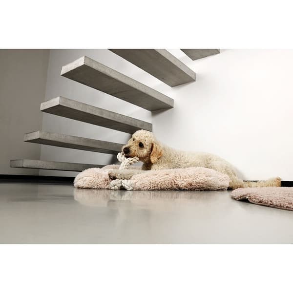 Hundkudde D&D Home Holly - 90x60x10 cm