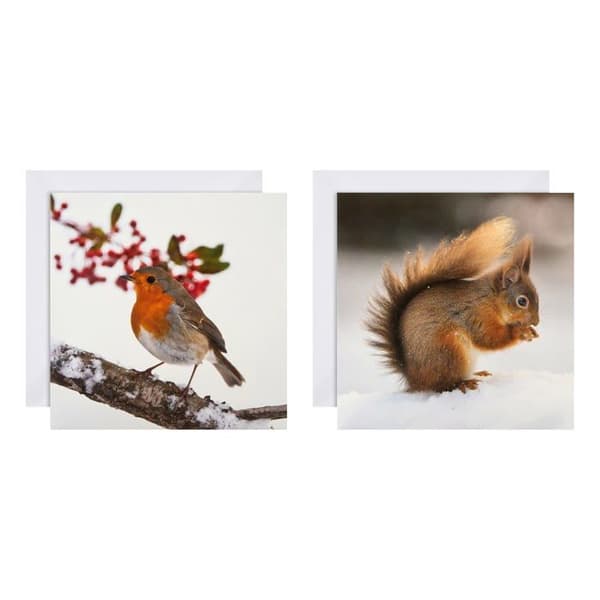 Julkort - Hallmark - 25572278 - 16-pack - 2 designer - Återvinningsbara