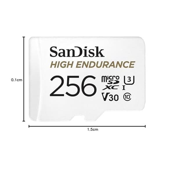 High Endurance flashminneskort - SANDISK - 256 GB - Video Class V30 / UHS-I U3 / Class10