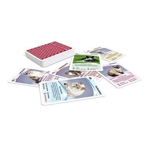 SA Ass Altenburger 22572086 Quartet, Chat Jeu 22572086