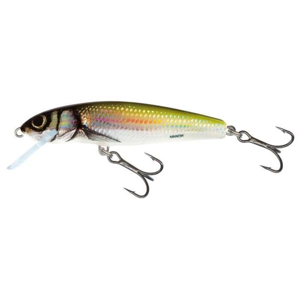 Salmo Minnow Floating | Plugg | Holo Bleak | 7 cm