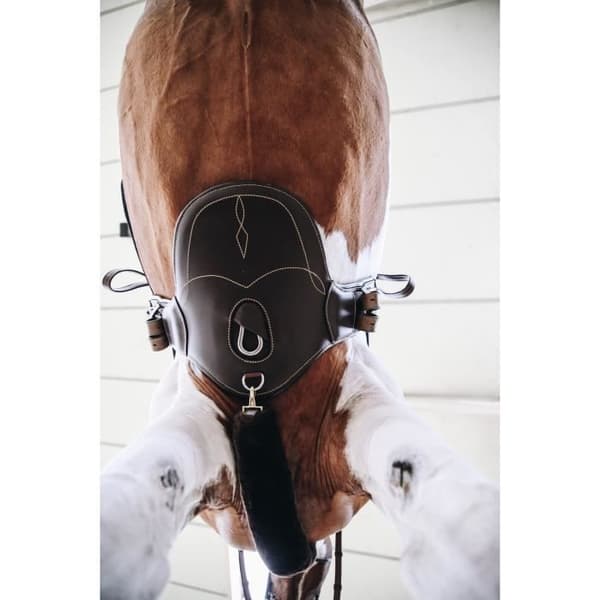 Kentucky kort ridhaklapp - brun - 70 cm