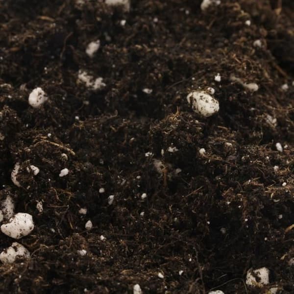BIOBIZZ Blomjord All-Mix - 50 L påse