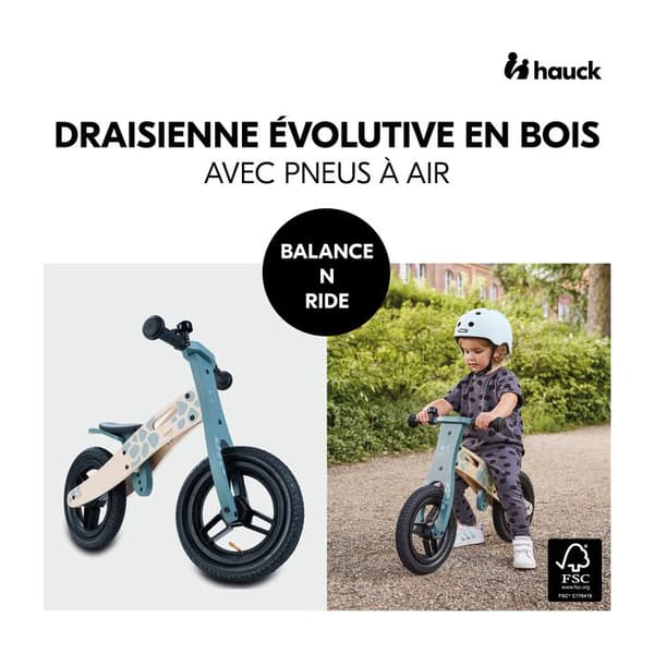 Draisienne Balance N Ride Sköldpadda