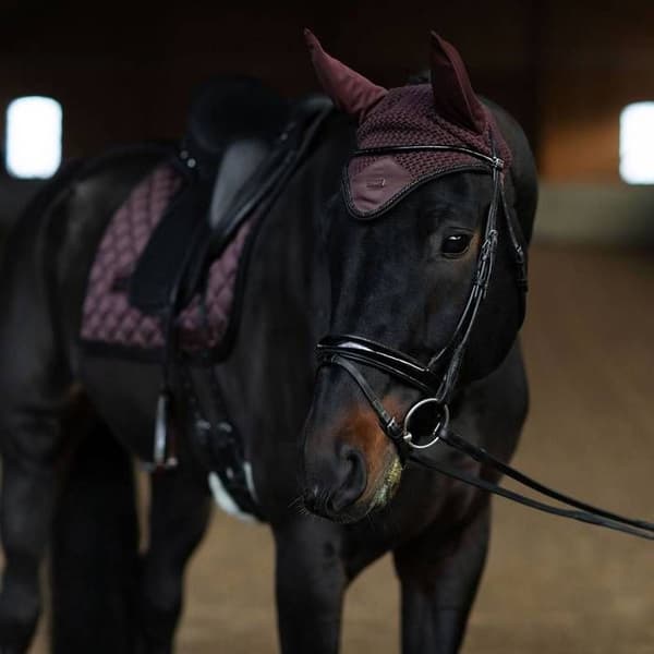 Flughuva Endless Glow - Equestrian Stockholm