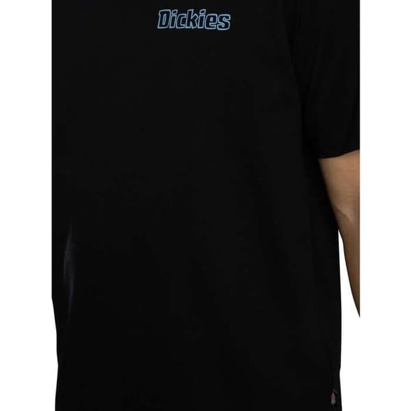 Fairland Grafisk T-Shirt Bak - Dickies