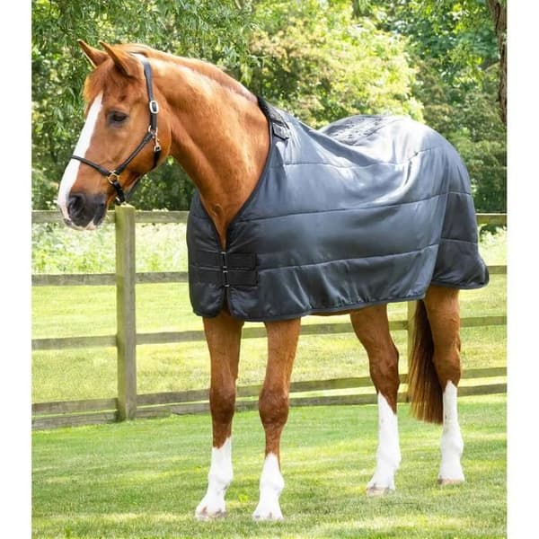 Täckesfoder för häst Premier Equine 50 g - Svart - 168 cm
