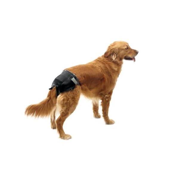 Komfortblöja hundblöjor storlek 3