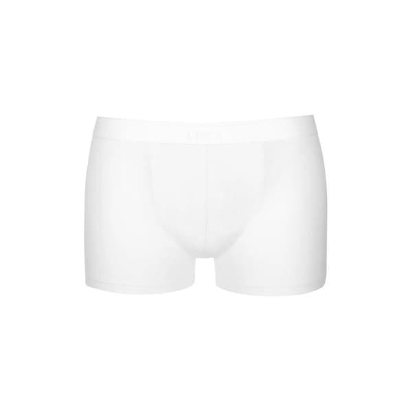 Boxer Lisca Hermes (x2)