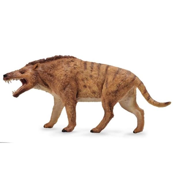 CollectA Andrewsarchus Figur - Deluxe 1:20 - Barn - Blandat