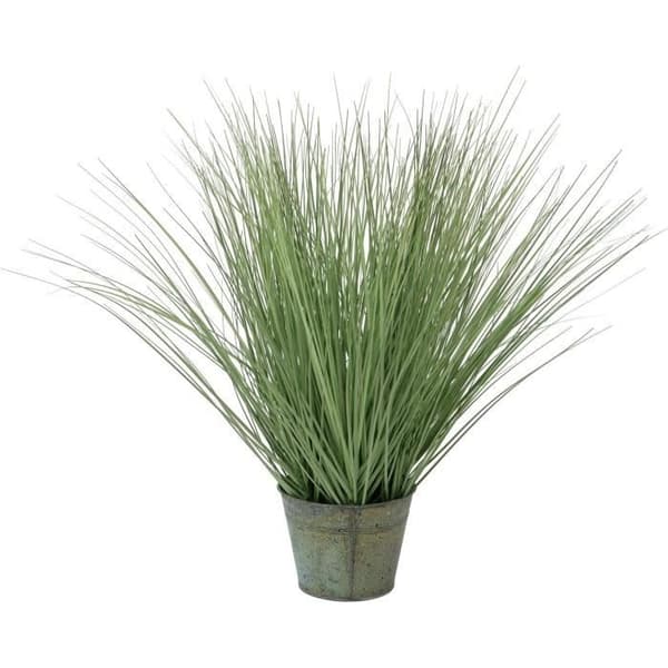 Europalms 82600145 Prydnadsgräs, 65 cm