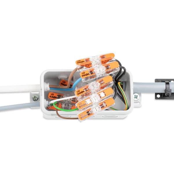 Förpackning med 10 Inline terminaler serie 221 - Wago