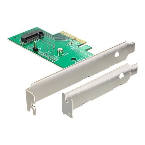 PCIe x4 Riser Card -> M.2 NGFF DELOCK 89370 - Lagringskontroller