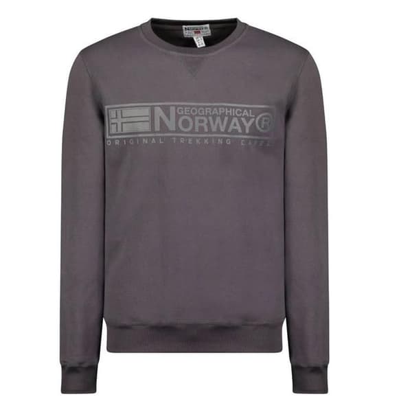Sweatshirt Grå Herr Geographical Norway Gantoine
