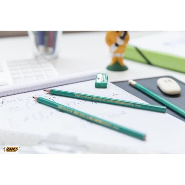 BIC® - Evolution Evolution™ 650 HB Pencil x10