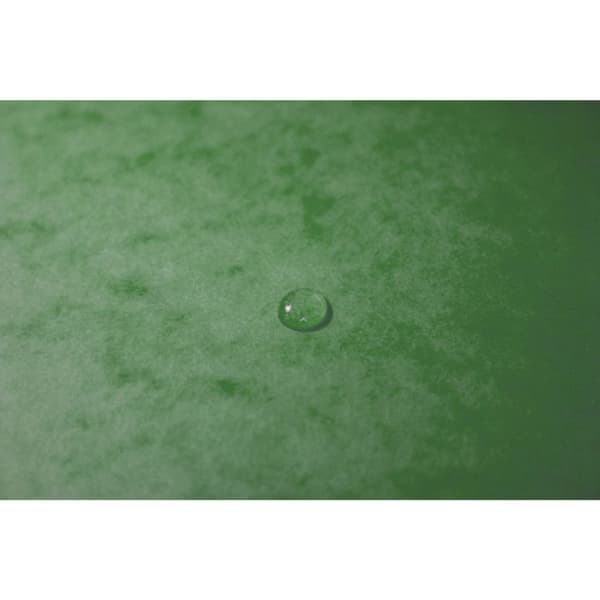 3-flikars elastisk mapp - EXACOMPTA - 55513E - A4 - Glanspapper 400 g/m² FSC - Förpackning 25 (Lind)