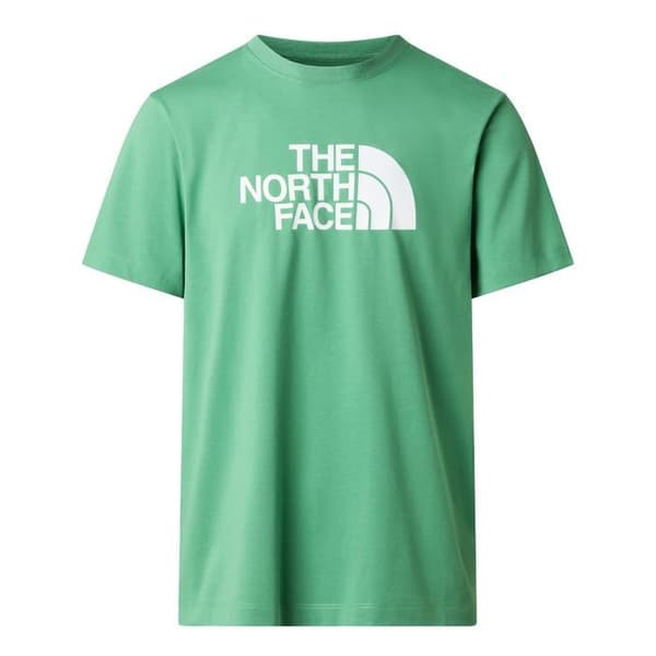 The North Face T-shirt Evolution Half Dome Vert - NF0A8B6JG57