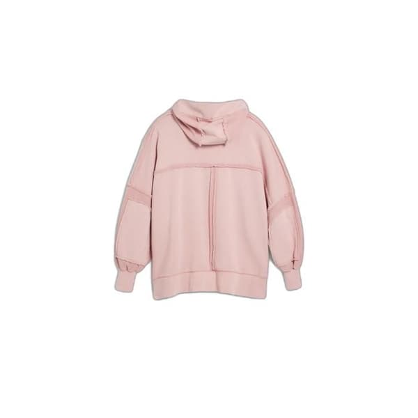Damsweatshirt med huva Desigual Liam