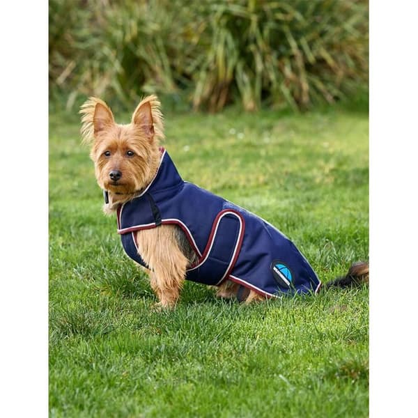 Hundmantel Weatherbeeta Comfitec Premier Deluxe - Blå - 60 cm
