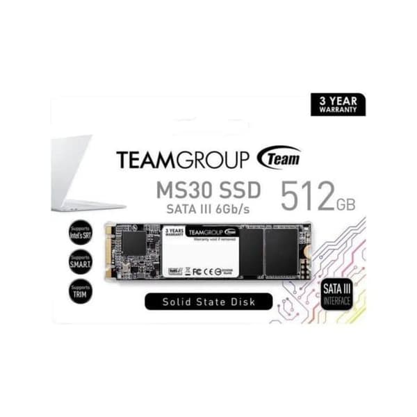 TEAM MS30 intern SSD-enhet - 512 GB - M.2 2280 SATA 6 Gb/s