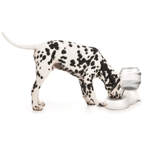 M-PETS Vattendispenser Cylinder - 3500ml - Vit - För hund