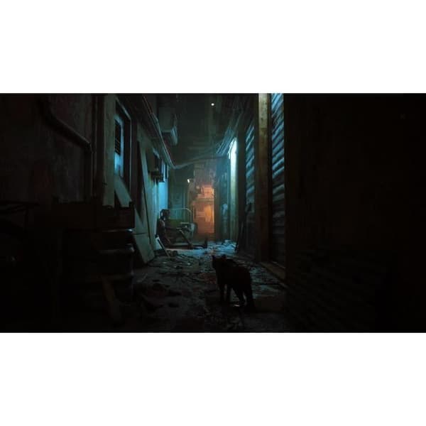 Stray - Nintendo Switch-spel