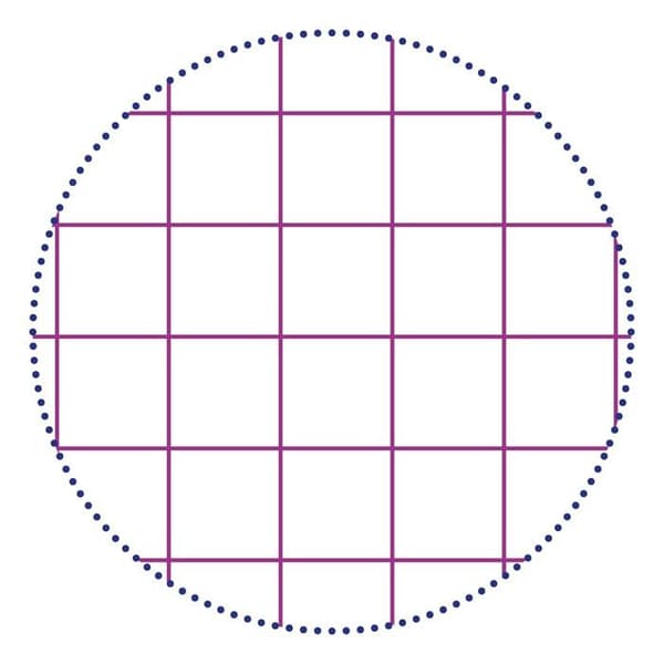 Anteckningsblock - KALIGRAF - 7145C - 5-pack - stor format - papper 70 g/m²