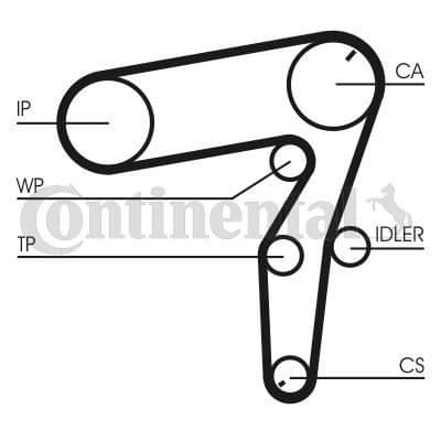 Contitech Kamrem CT666K1